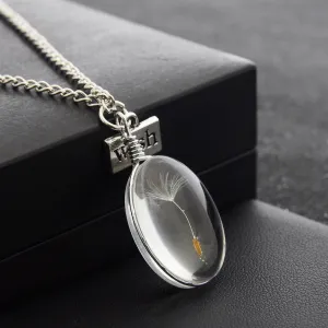 Wish Real Natural Dandelion Seed Pendant Necklace Crystal Glass Round Pendant Minimalism color Chain Choker Necklace For Women