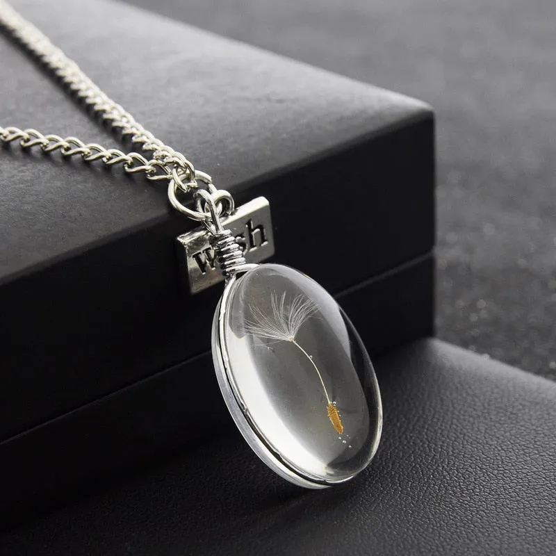 Wish Real Natural Dandelion Seed Pendant Necklace Crystal Glass Round Pendant Minimalism color Chain Choker Necklace For Women